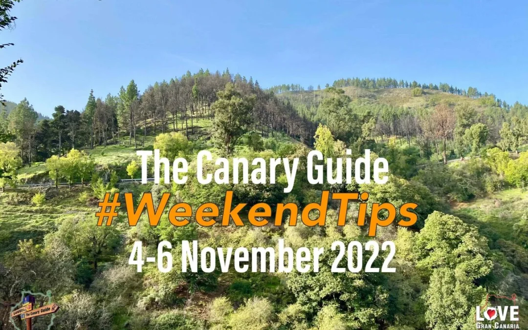 The Canary Guide #WeekendTips 4-6 November 2022