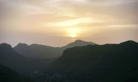 Gran Canaria Weather: Gradually cooling back towards seasonal norms and a small possibility of showers by Saturday