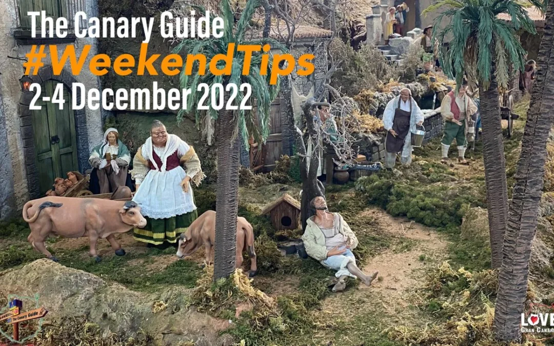 The Canary Guide #WeekendTips 2-4 December 2022