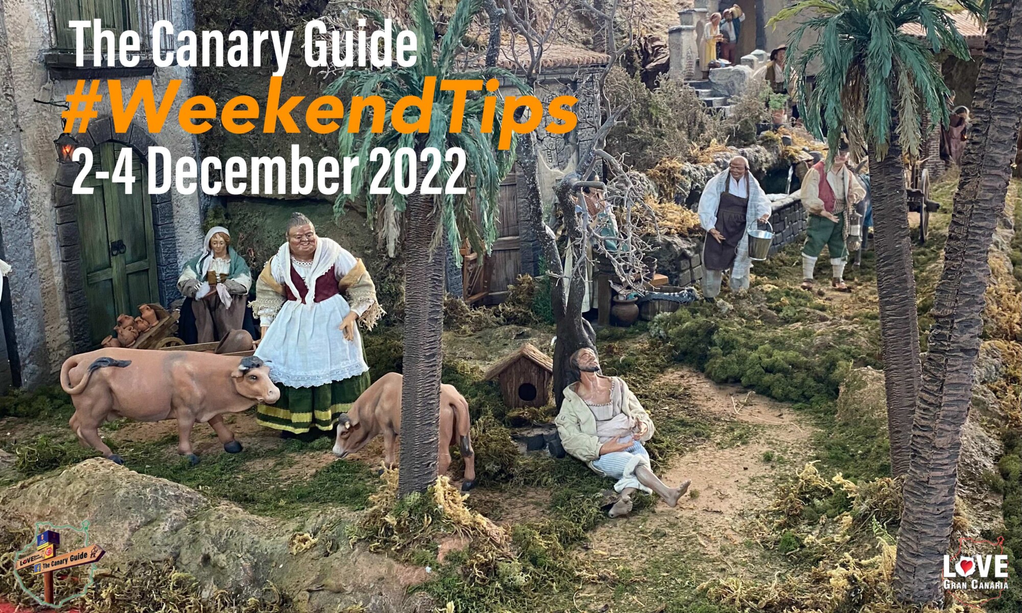 The Canary Guide #WeekendTips 2-4 December 2022