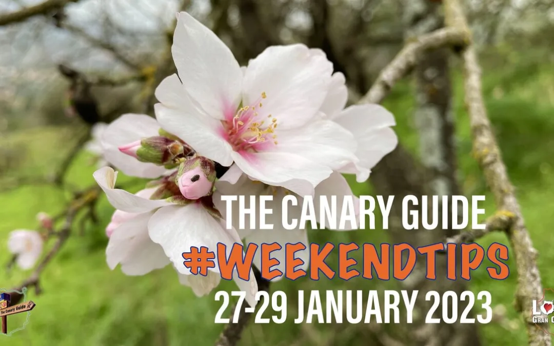 The Canary Guide #WeekendTips 27-29 January 2023