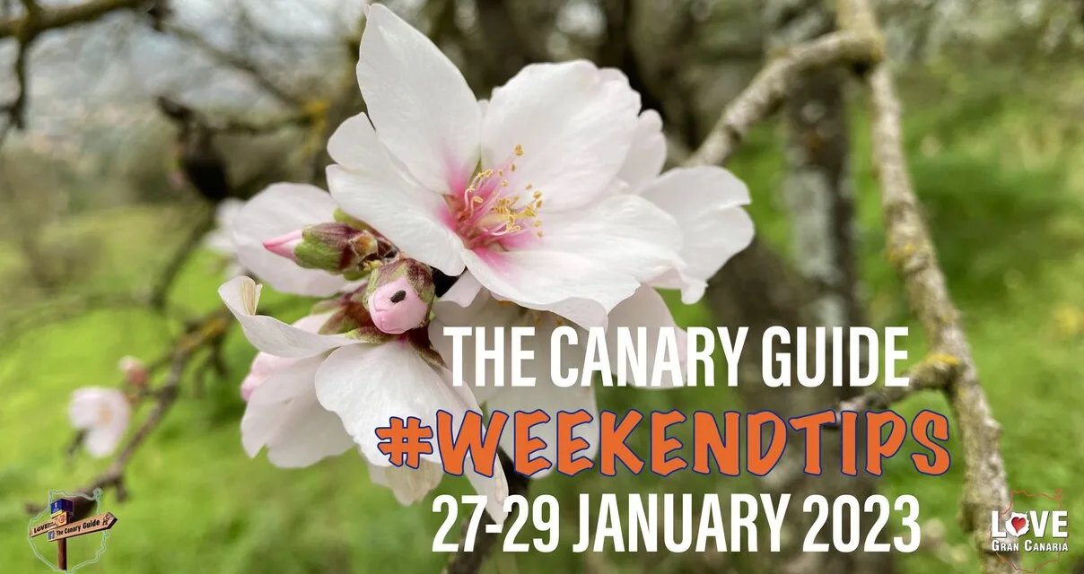 The Canary Guide #WeekendTips 27-29 January 2023