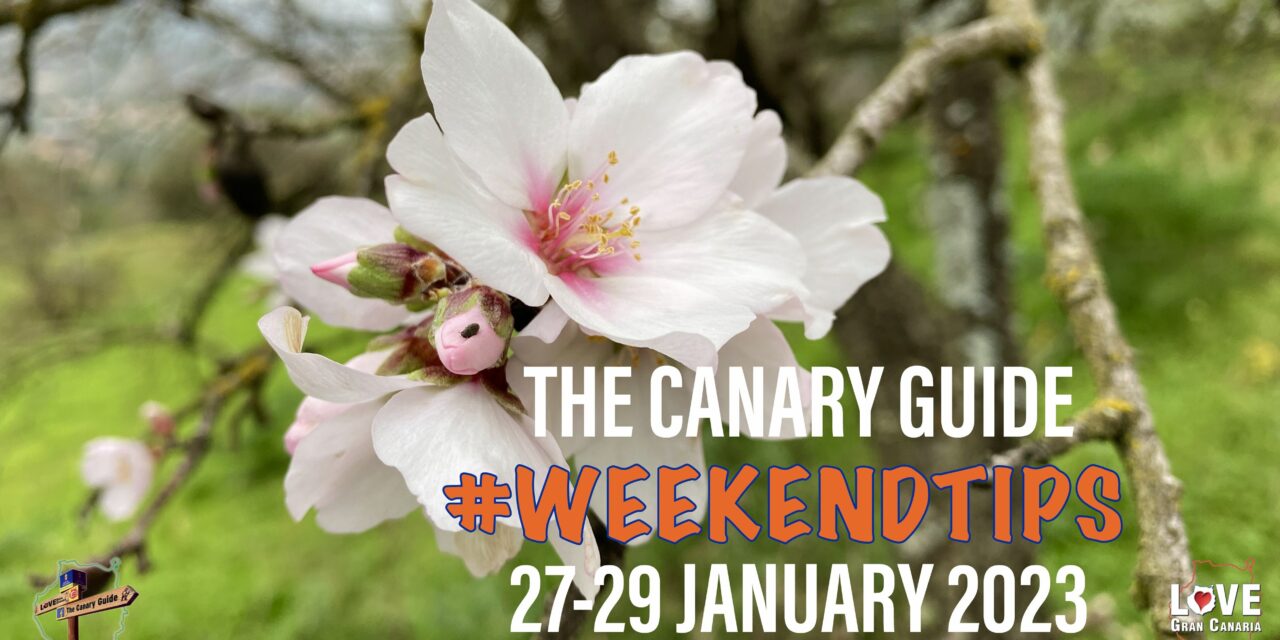 The Canary Guide #WeekendTips 27-29 January 2023