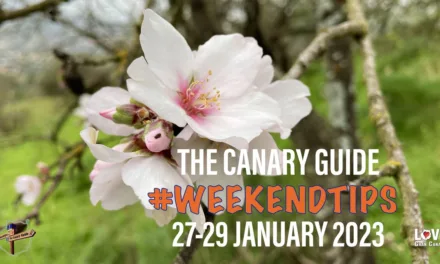 The Canary Guide #WeekendTips 27-29 January 2023