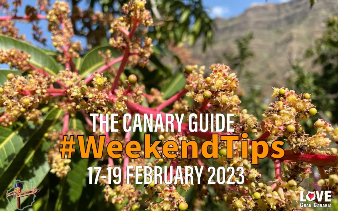 The Canary Guide #WeekendTips 17-19 February 2023