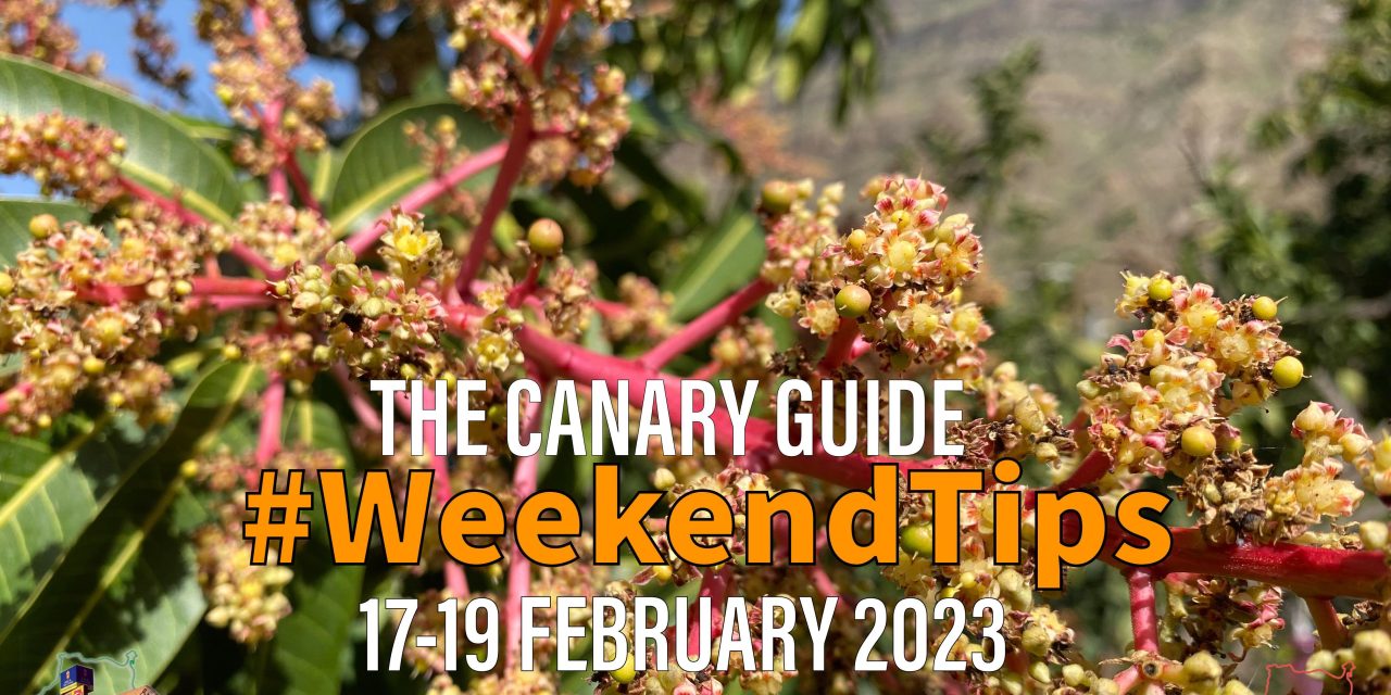 The Canary Guide #WeekendTips 17-19 February 2023