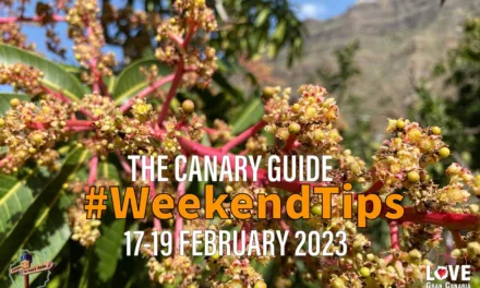 The Canary Guide #WeekendTips 17-19 February 2023