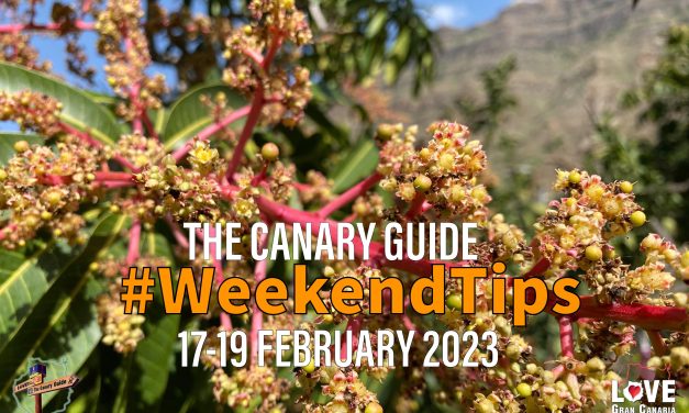 The Canary Guide #WeekendTips 17-19 February 2023