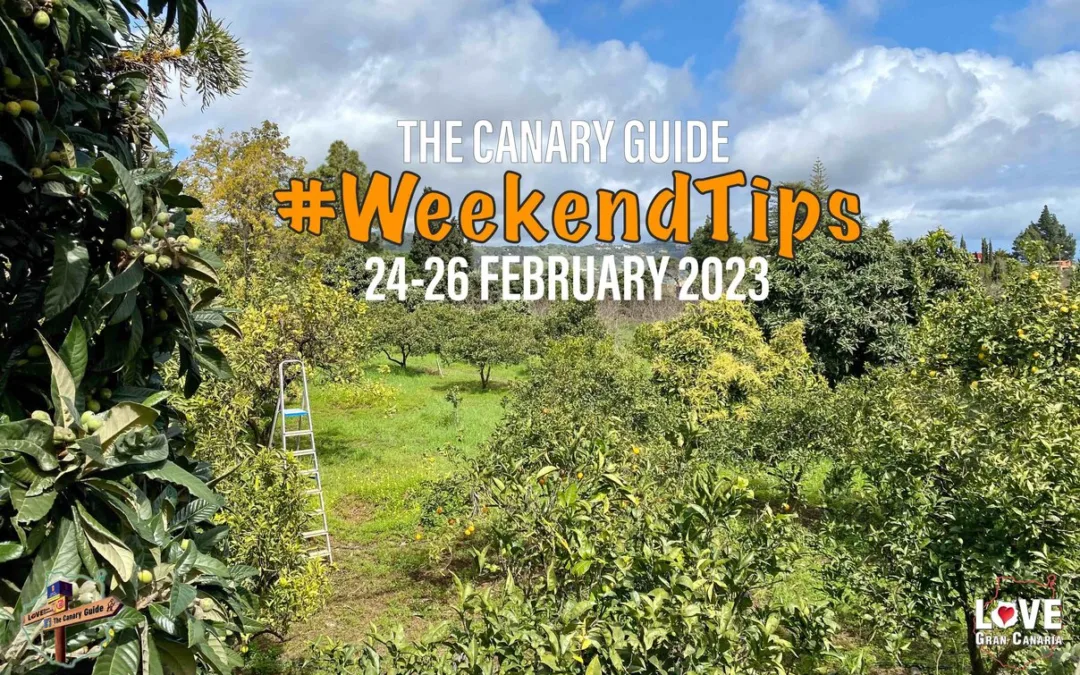 The Canary Guide #WeekendTips 24-26 February 2023