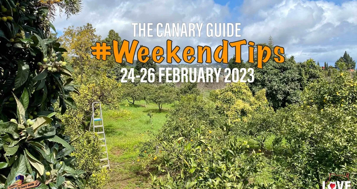 The Canary Guide #WeekendTips 24-26 February 2023