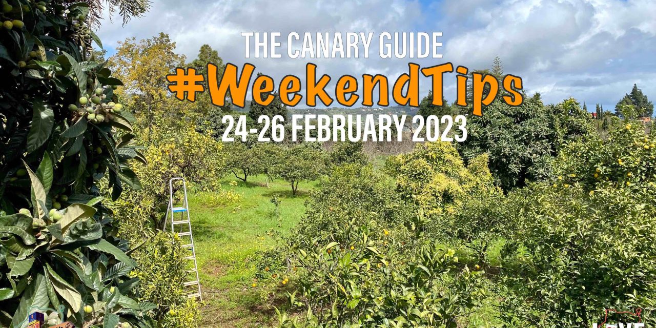 The Canary Guide #WeekendTips 24-26 February 2023