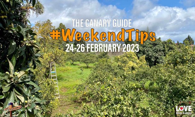 The Canary Guide #WeekendTips 24-26 February 2023
