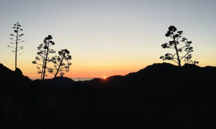 Gran Canaria Weather: Calima and some chilly nights ahead, rain and maybe snow up on the mountain!