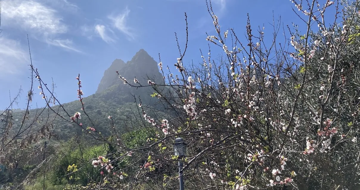 Gran Canaria Weather: Temperatures of 31ºC in the shade and slight calima as we head towards a warm spring weekend