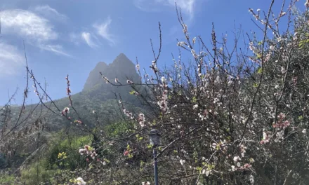Gran Canaria Weather: Temperatures of 31ºC in the shade and slight calima as we head towards a warm spring weekend