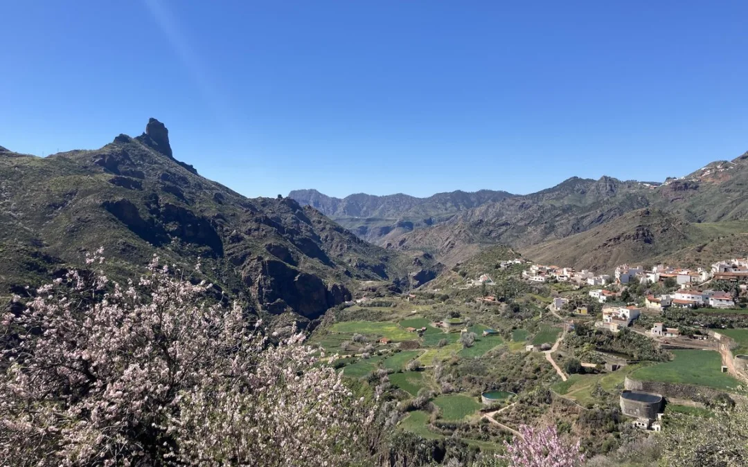 Gran Canaria Weather: Summer-like weather to continue, 30ºC+ in the shade this weekend
