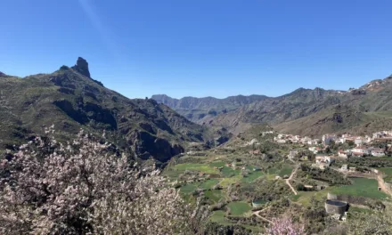 Gran Canaria Weather: Summer-like weather to continue, 30ºC+ in the shade this weekend
