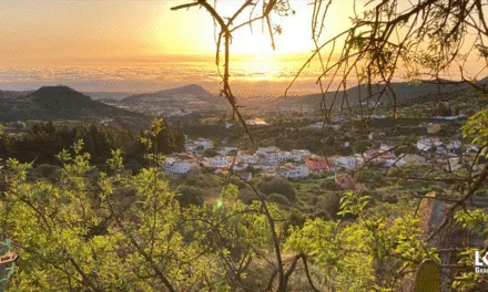 Gran Canaria Weather: Yellow Warnings – Up to 36ºC, in the shade, expected on the south, high temperatures with strong winds and calima expected to affect all The Canary Islands this week
