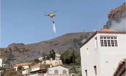 Blaze among the palm trees of Fataga being tackled by fire fighters