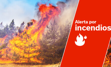 Red Alert for Maximum Temperatures & Forest Fire Risk on Gran Canaria, and the western islands from Tuesday