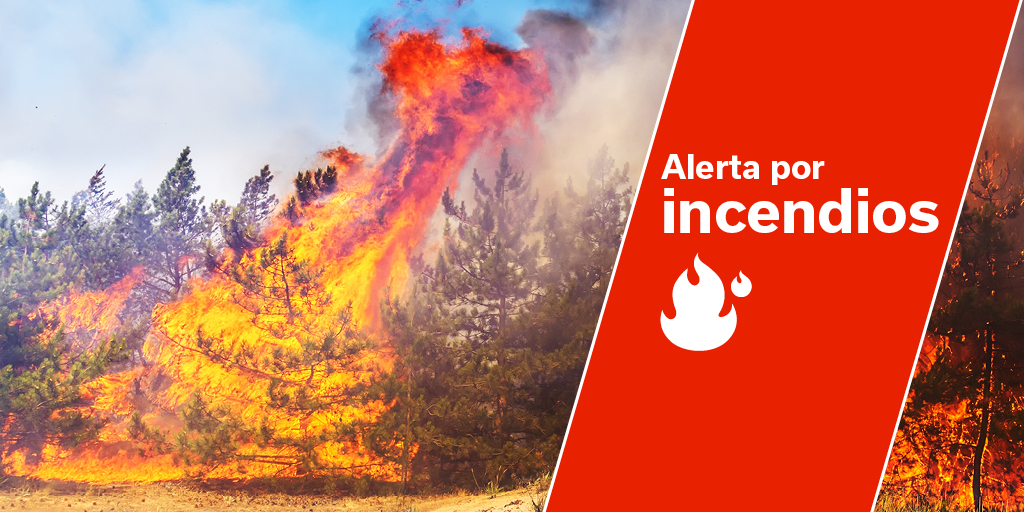 Red Alert for Maximum Temperatures & Forest Fire Risk on Gran Canaria, and the western islands from Tuesday