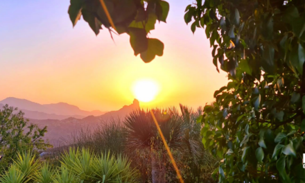 Gran Canaria Weather: First Heatwave of Summer with an Orange Advisory Warning for 37°C In The Shade Forecast