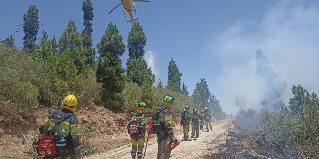 LATEST ON THE FIRE AT THE SUMMIT OF GRAN CANARIA 🔥