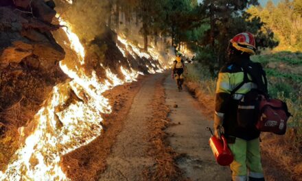 La Palma Wildfire Update: Government Authorises Residents to Return Home, Fire Fighters Attempt To Control The Blaze