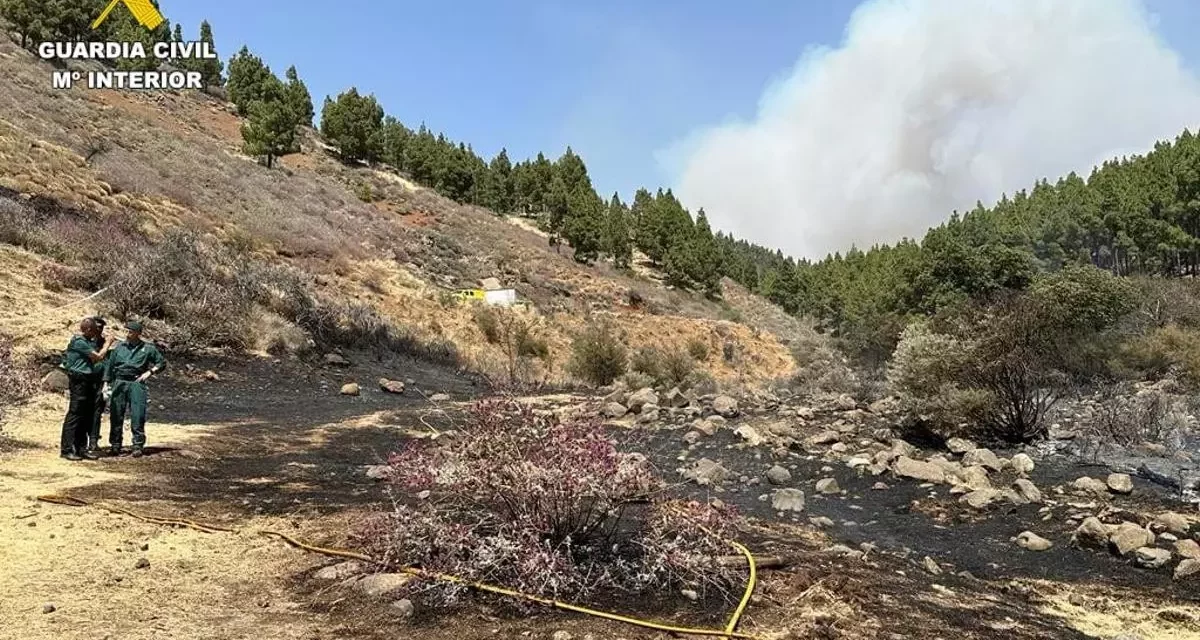 Guardia Civil investigate forestry workers as possible source of Gran Canaria Fire