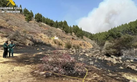 Guardia Civil investigate forestry workers as possible source of Gran Canaria Fire