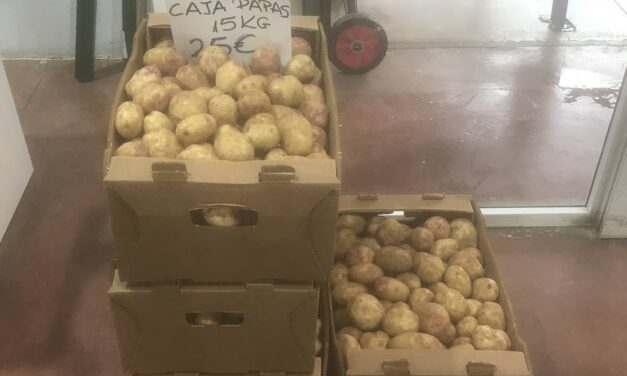Is there a potato shortage in The Canary Islands? Gran Canaria president says certainly no!