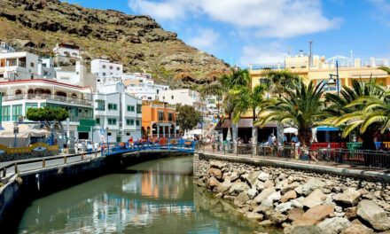Canary Islands Tourism Minister Talks Aim At Vacations Rentals Regulations