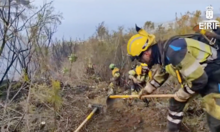 Latest on Tenerife Forest Fire Reactivation: Severity Level 2, Over 3,000 Residents Evacuated