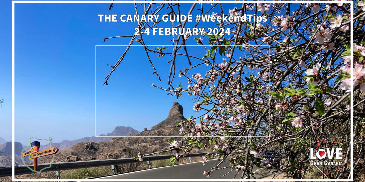 The Canary Guide #WeeekendTips 2-4 February 2024