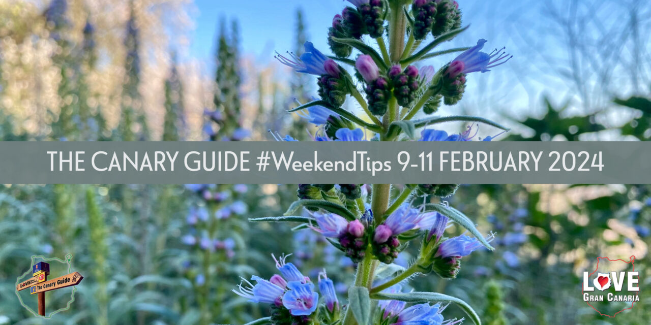 The Canary Guide #WeekendTips 9-11 February 2024