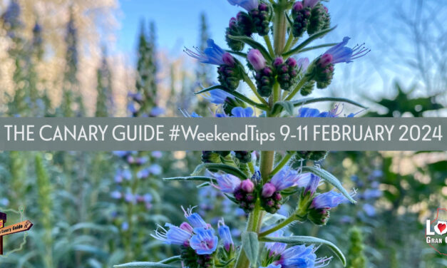 The Canary Guide #WeekendTips 9-11 February 2024