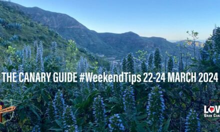 The Canary Guide #WeekendTips 22-24 March 2024