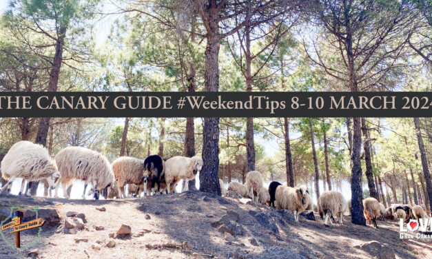 The Canary Guide #WeekendTips 8-10 March 2024