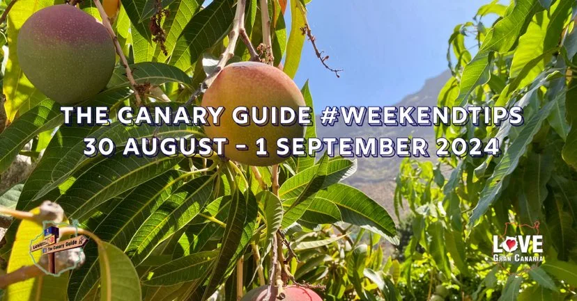 The Canary Guide #WeekendTips 30 August – 1 September 2024