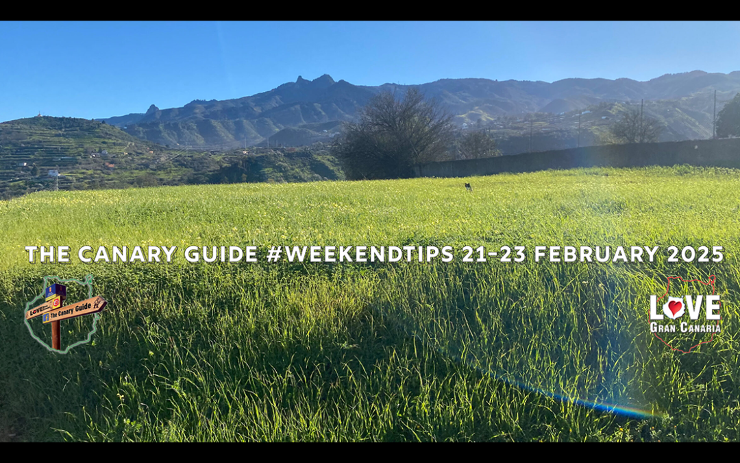 The Canary Guide #WeekendTips 21-23 February 2025