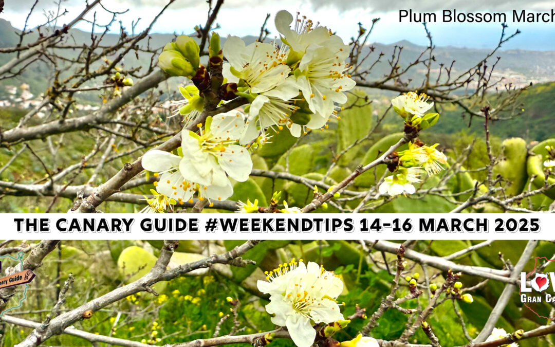 The Canary Guide #WeekendTips 14-16 March 2025