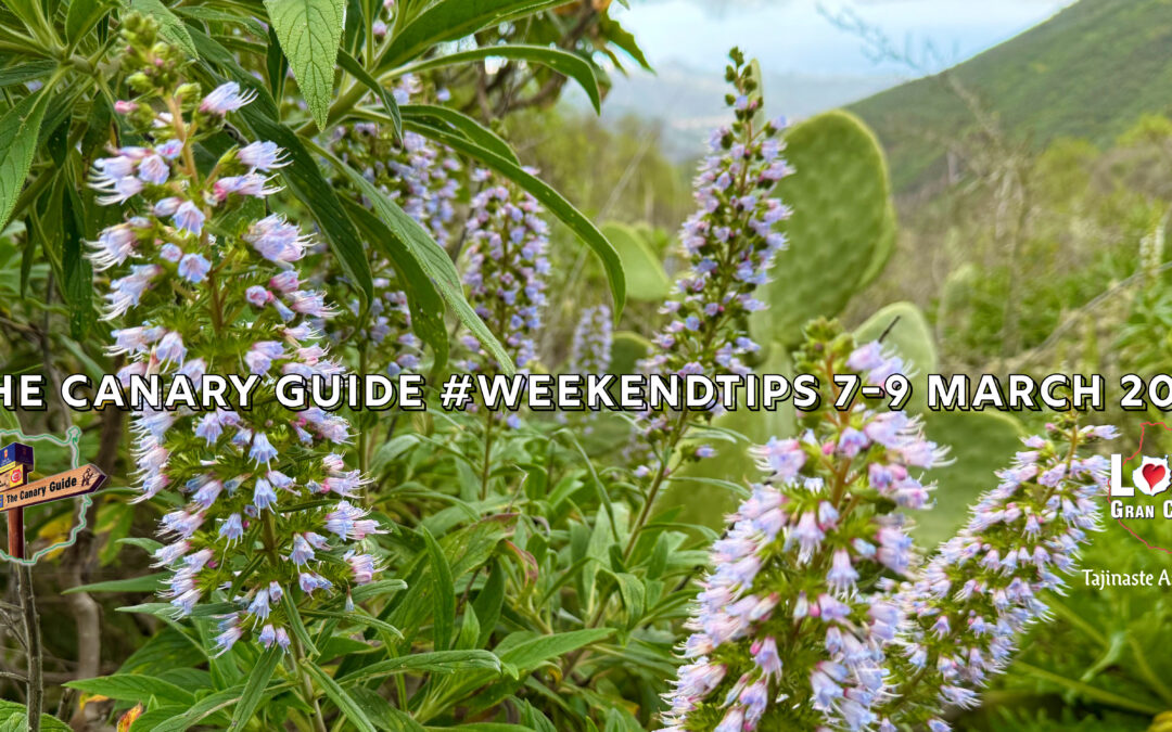 The Canary Guide #WeekendTips 7-9 March 2025