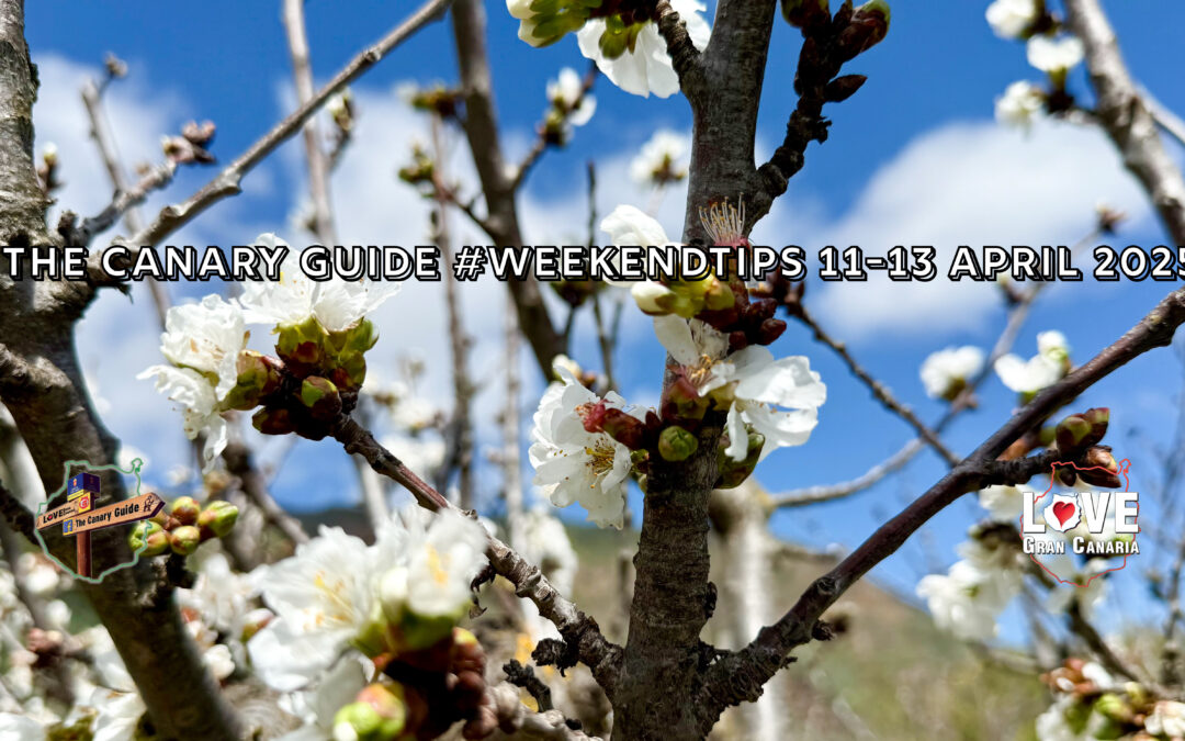 The Canary Guide #WeekendTips 11-13 April 2025