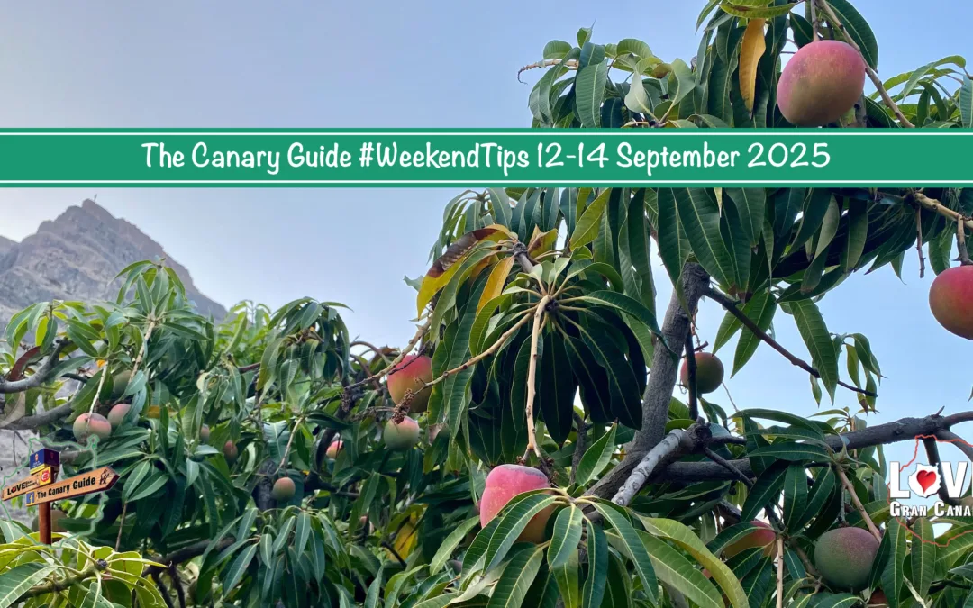 The Canary Guide #WeekendTips 12-14 September 2025