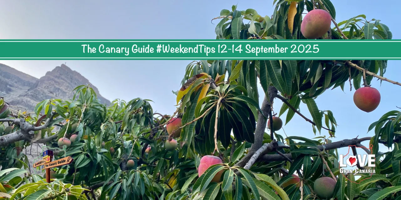 The Canary Guide #WeekendTips 12-14 September 2025