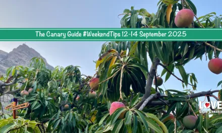 The Canary Guide #WeekendTips 12-14 September 2025