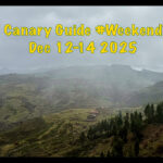 The Canary Guide #WeekendTips 12-14 December 2025